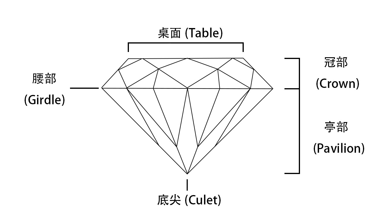 其他(tā)4.jpg